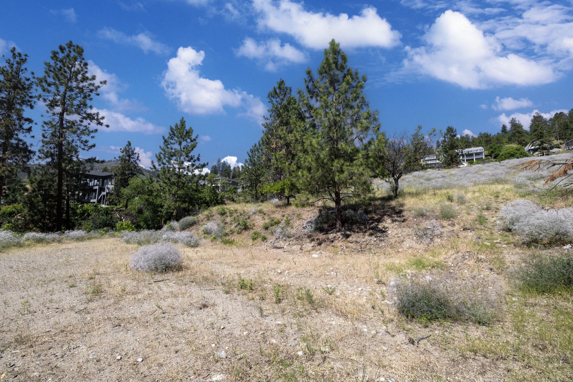 6446 Renfrew Road photo 25