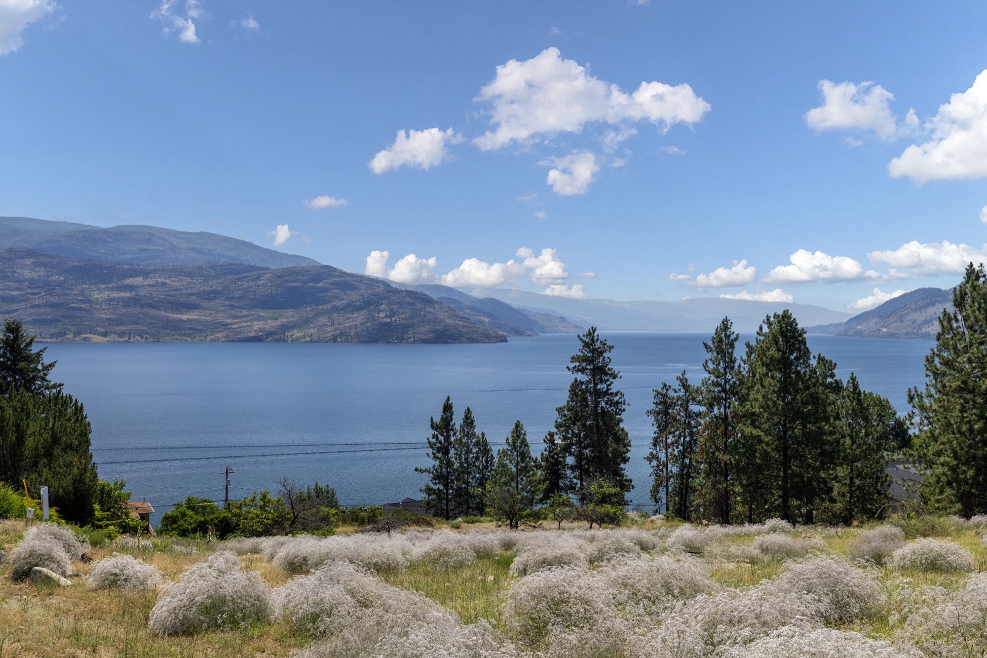 6446 Renfrew Road photo 29